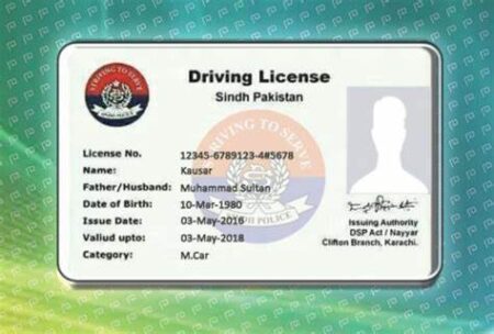 Sindh introduces online driving licence