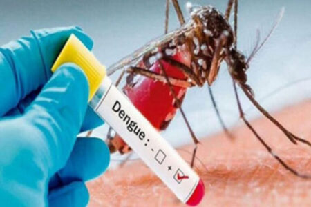 Health ministry issues new dengue advisory