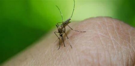 Sindh ‘reports 93,002 malaria cases’ during past week