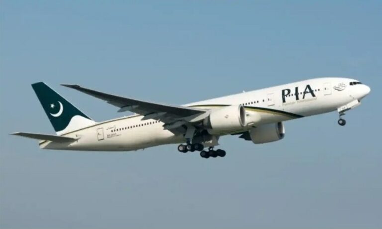 PIA Privatization Process