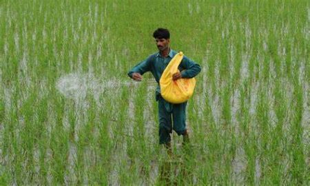 Urea Prices Increase Amid Gas Tariff Hike