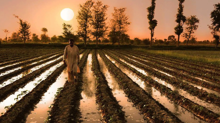 Pakistan Can Earn Rs. 65 Billion from Agriculture Tax: Report