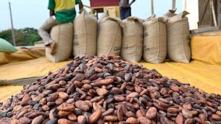 Cocoa farmers hoard beans in anticipation of price hike