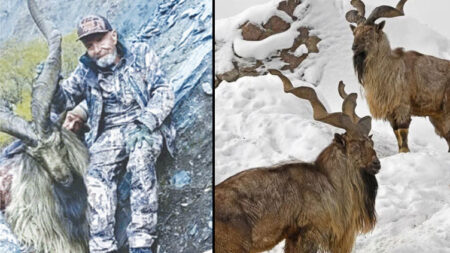 American Hunter Bags Record-Breaking Markhor in Chitral with Historic Bid