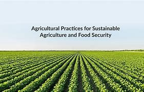 Adopt Sustainable Agriculture Practices