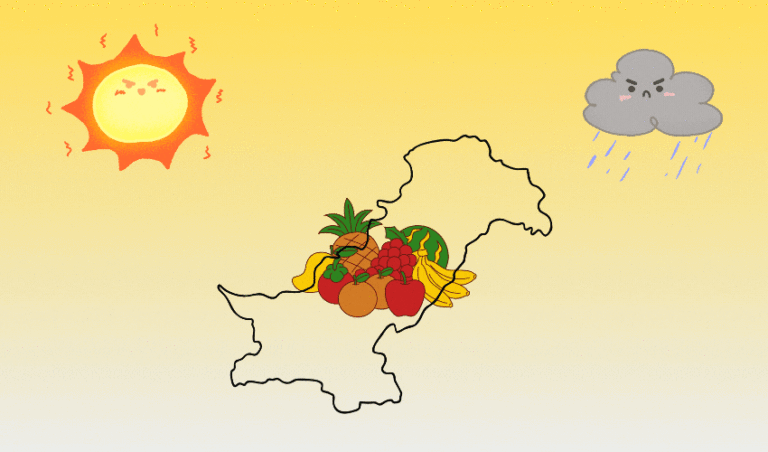 From Sweet to Sour: How Climate Change is Impacting Pakistan’s Oranges