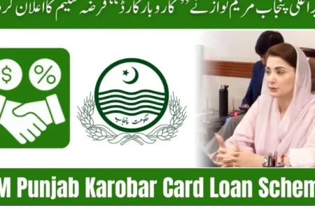 CM Punjab Launches Asan Karobar Scheme for Small Businesse