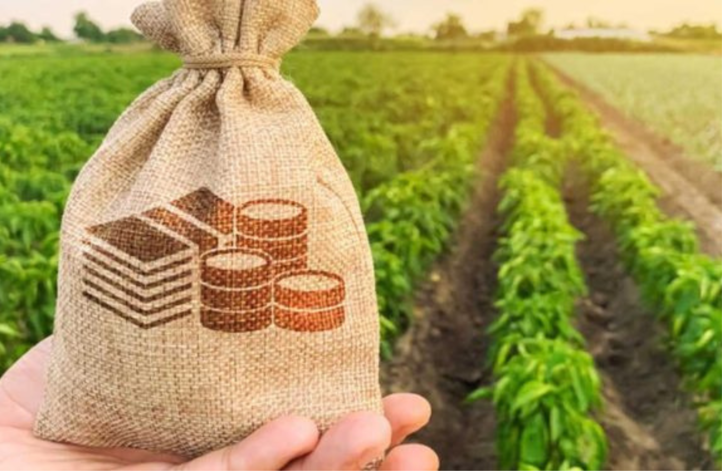 Khyber Pakhtunkhwa Announces Plan to Tax Agricultural Income