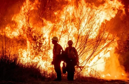 Los Angeles fires