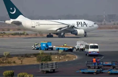 PIA Privatization