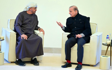 PM Shehbaz, UAE President Commit to Stronger Ties