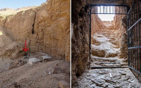 Egypt Discovers Pharaoh’s Tomb