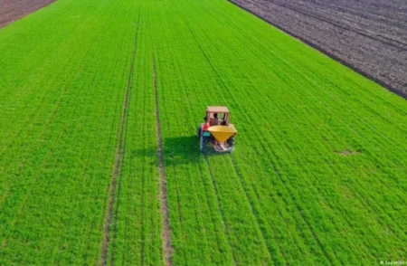 Food Ministry to Develop 20-Year Food Security Plan