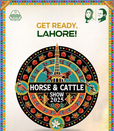 National Horse and Cattle Show Returns After 35 Years