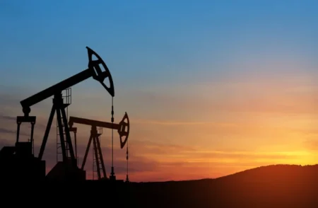 Petroleum Minister Stresses Quick Digitization of Oil Supply Chain