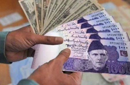 Pakistani Rupee is Overvalued, Warns Economic Advisory Council