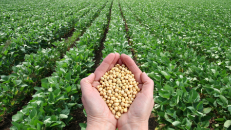 Pakistan’s Industry Celebrates Return of U.S. Soybeans