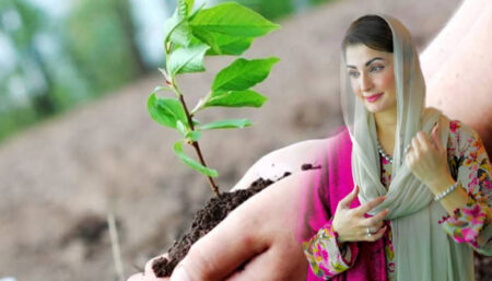 Punjab Launches Initiative to Plant 634,000 Trees in Battle Against Smog