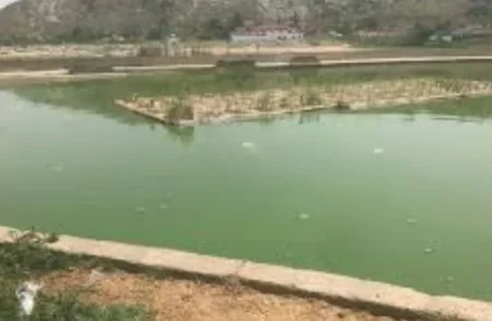 Punjab Unveils Floating Ponds to Tackle Water Shortage