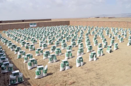 KSrelief Launches Major Ramazan 2025 Food Drive in Pakistan