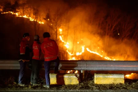 Heaviest Wildfire in South Korea Killing 27