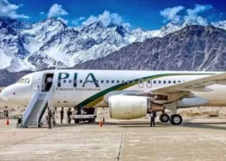 Arrangement of PIA Privatization