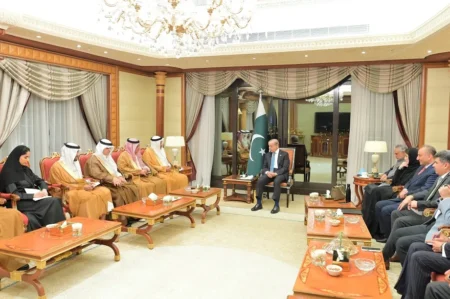 Saudi Investment in Pakistan