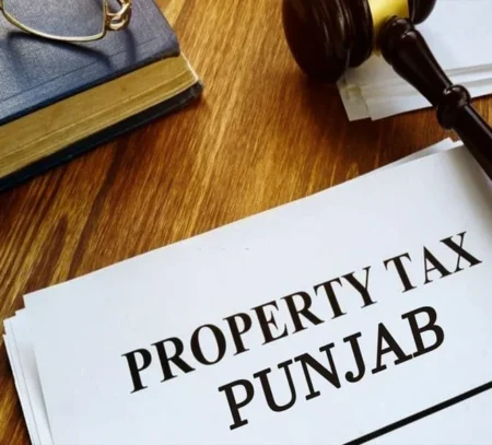 Punjab Initiates Property Sealing