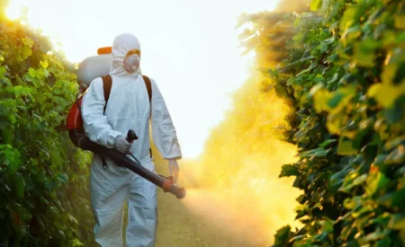 Pesticides: A Threat To Natural Biodiversity