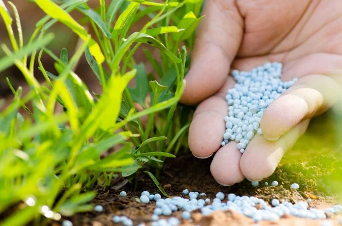 FERTILIZER SUPPLY