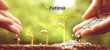 Fatima Fertilizer