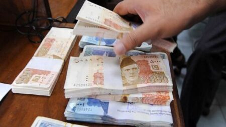 Federal Borrowing Falls 66% Amid SBP Gains and Foreign Inflows
