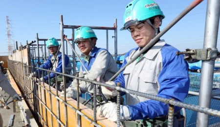 Japan, skilled, workers, demand