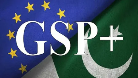 Review, GSP Plus, EU, HUman Rights, AHmed Mukhtar