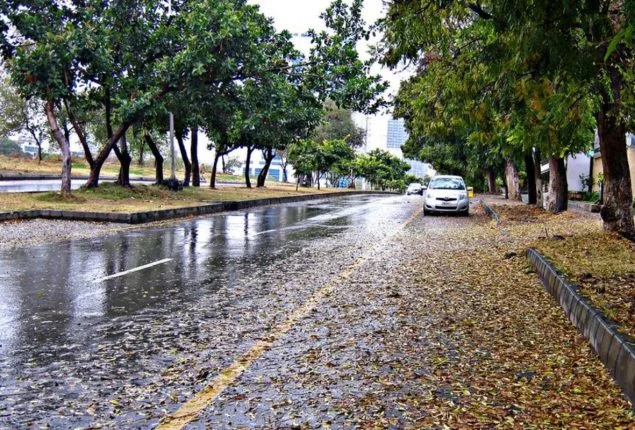 Strong Winds Forecast