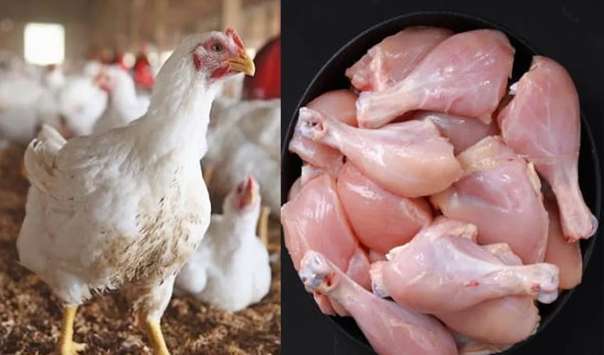 Chicken Prices Soar Rs45 in Just 24 Hours