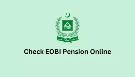 EOBI Check Made Easy: Verify Pension Online Fast