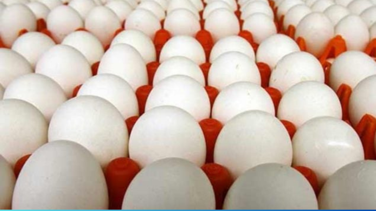 Fresh eggs displayed in a Pakistani market with price tags showing current rates in major cities