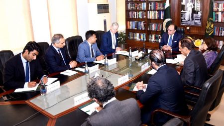 Finance Minister Muhammad Aurangzeb meeting with Deloitte delegation on climate resilience and population stabilization initiatives