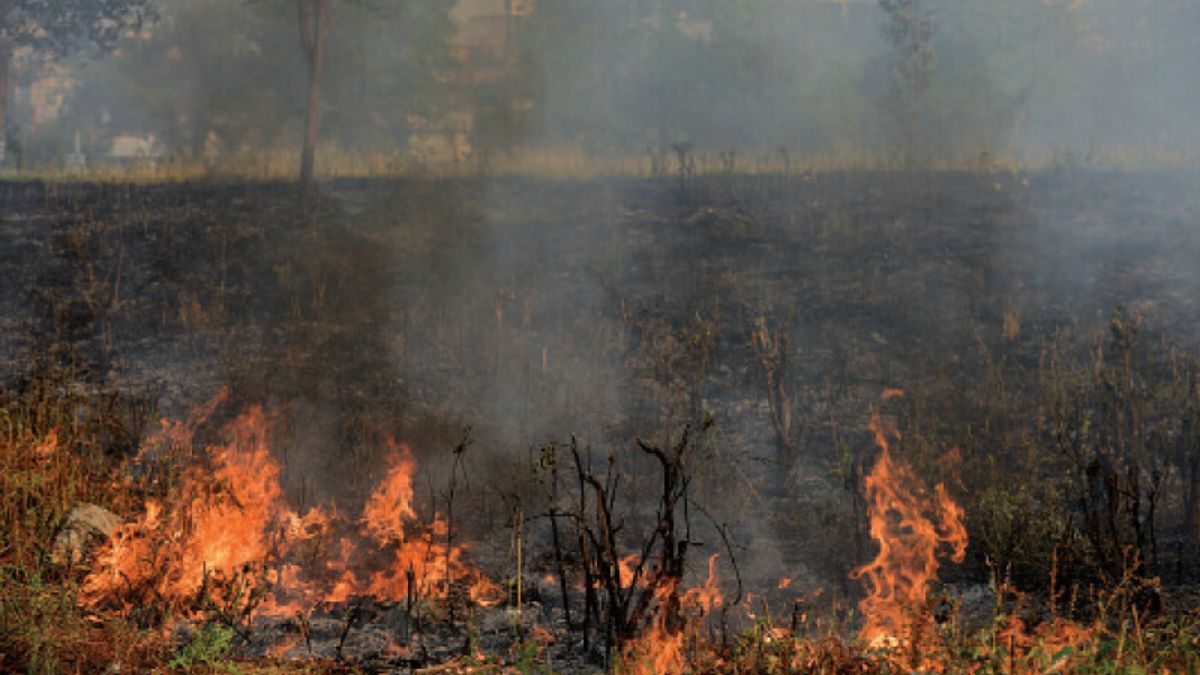 Firefighters working to control wildfire in Margalla Hills, Islamabad amid smoke and flames