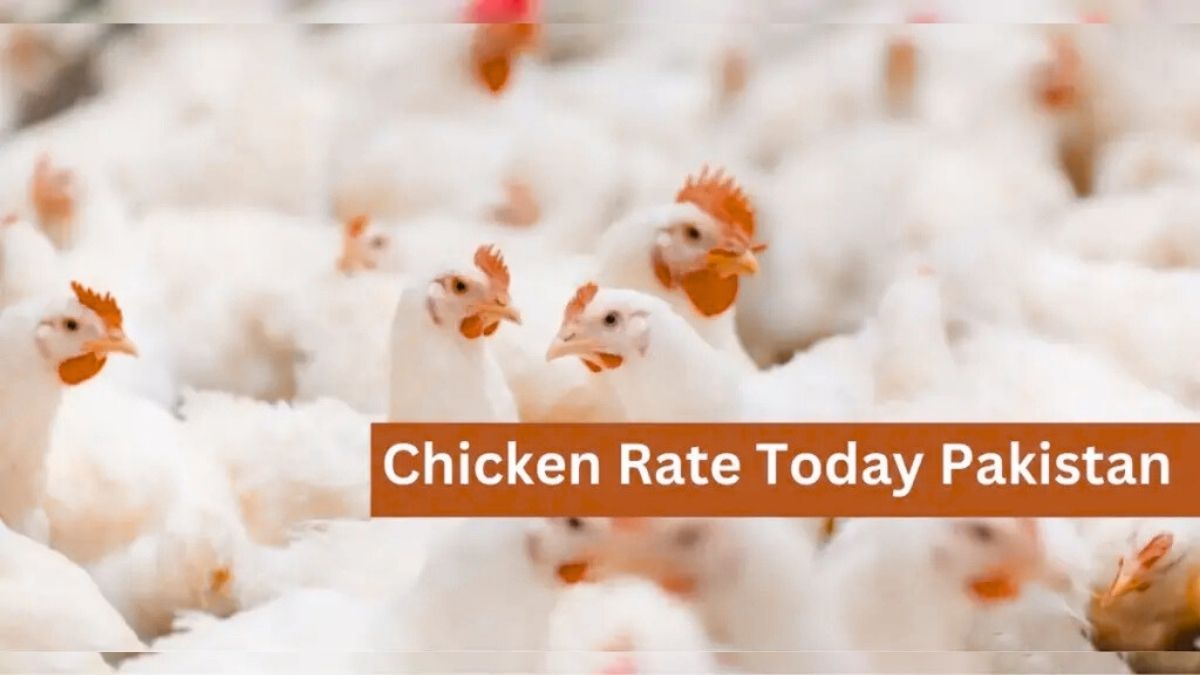 Fresh broiler and desi chicken in Pakistan market 2025