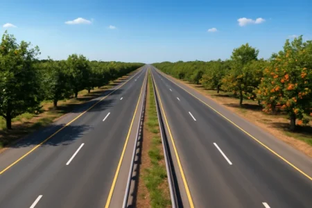 fruit tree plantation