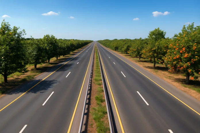 fruit tree plantation