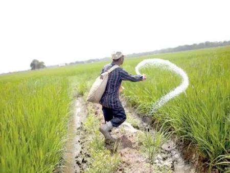 Govt May Double Fertilizer Tax, New Duty on Pesticides