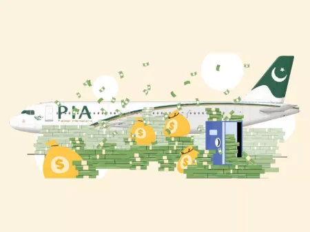Privatisation of PIA