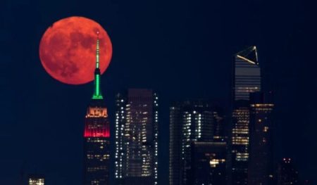 Flower Moon to Shine Bright