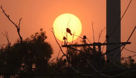Pakistan Faces Its Second-Hottest, Seventh-Driest April in 65 Years