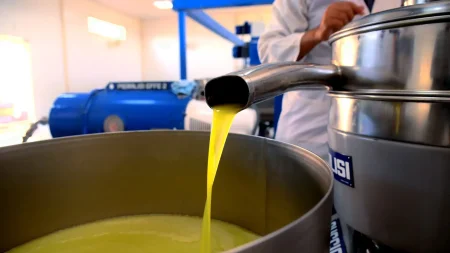Pakistani Olive Oil Wins Global Top Award