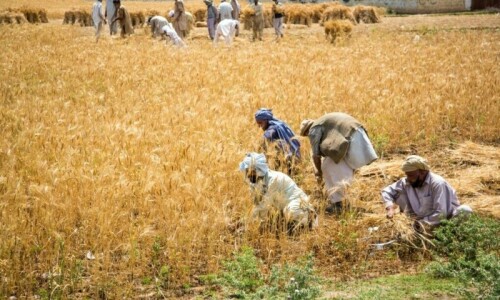 Sindh Slaps Super Tax on Farmers, Sparking Backlash