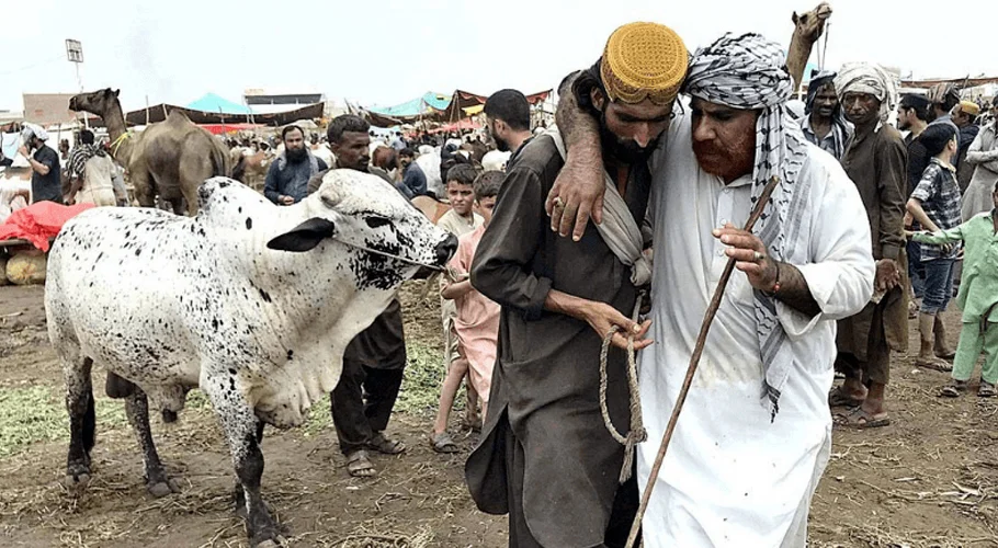 ‘Go Cashless’ Campaign